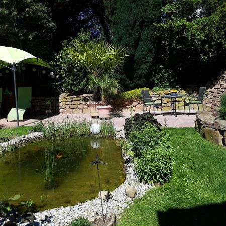 Ferienwohnung Trommblick - Natur Pur - Rimbach Im Odenwald Dış mekan fotoğraf